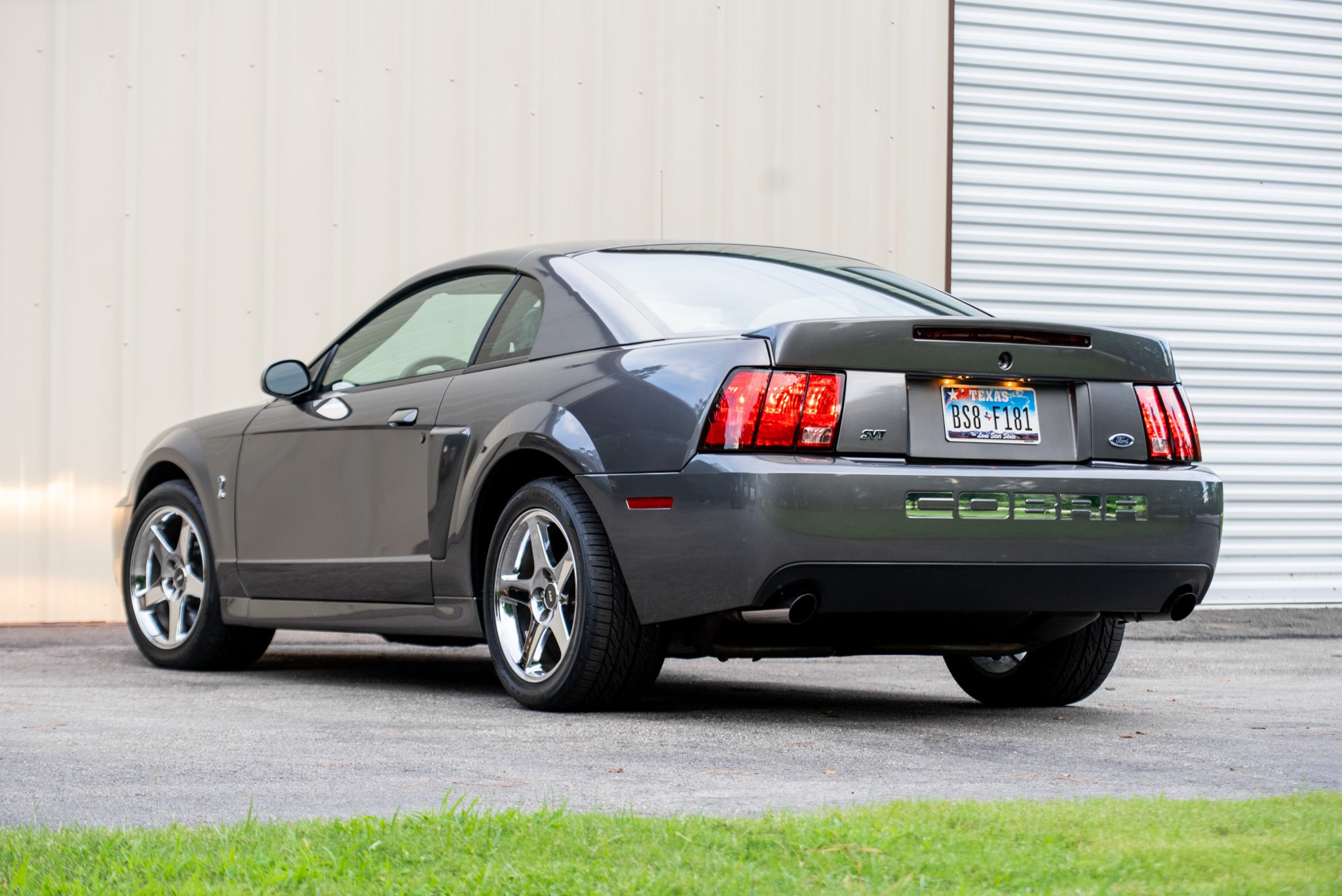 Ford Mustang Svt Cobra Sesame Cars