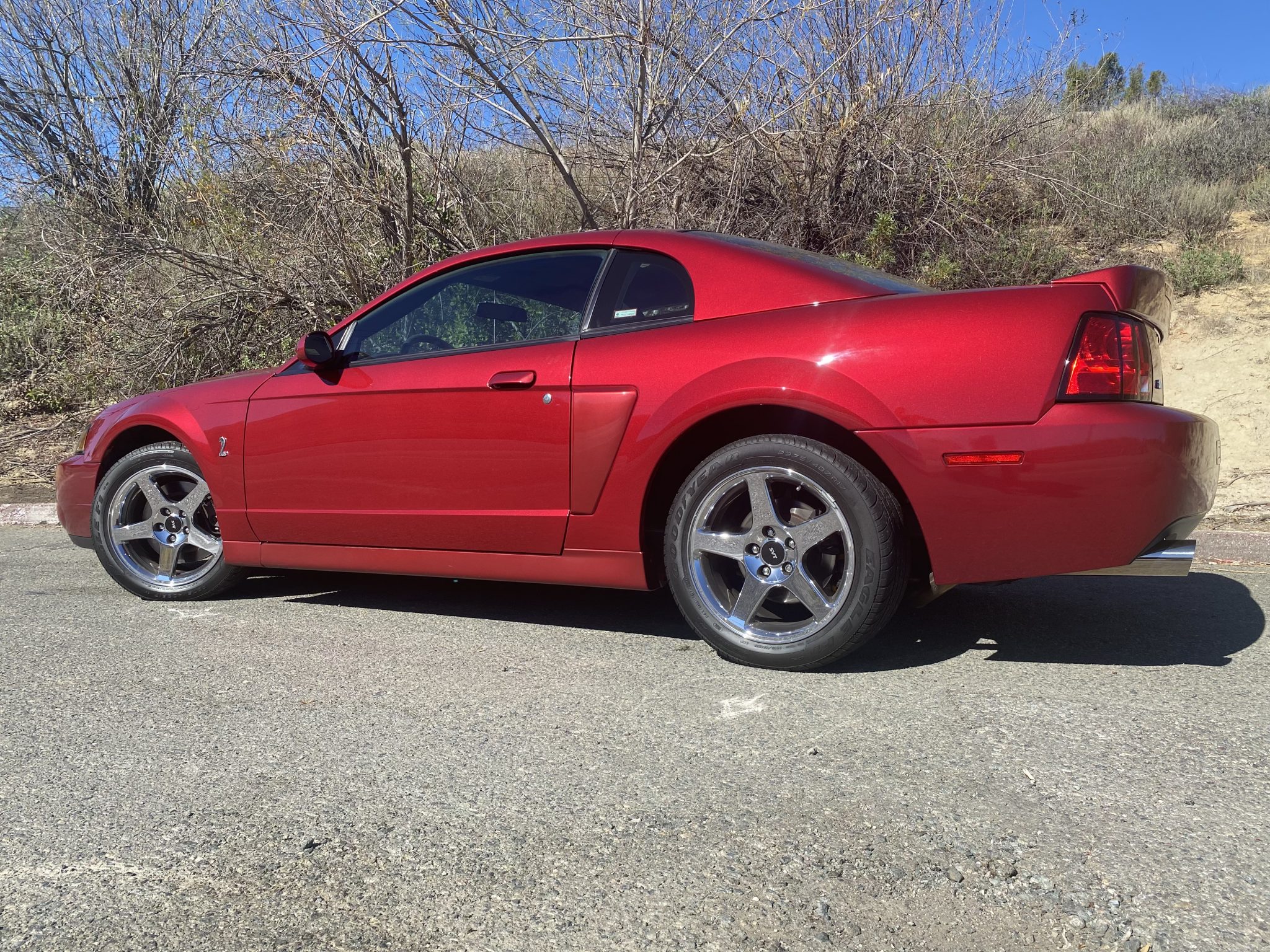 Ford Mustang Svt Cobra Sesame Cars