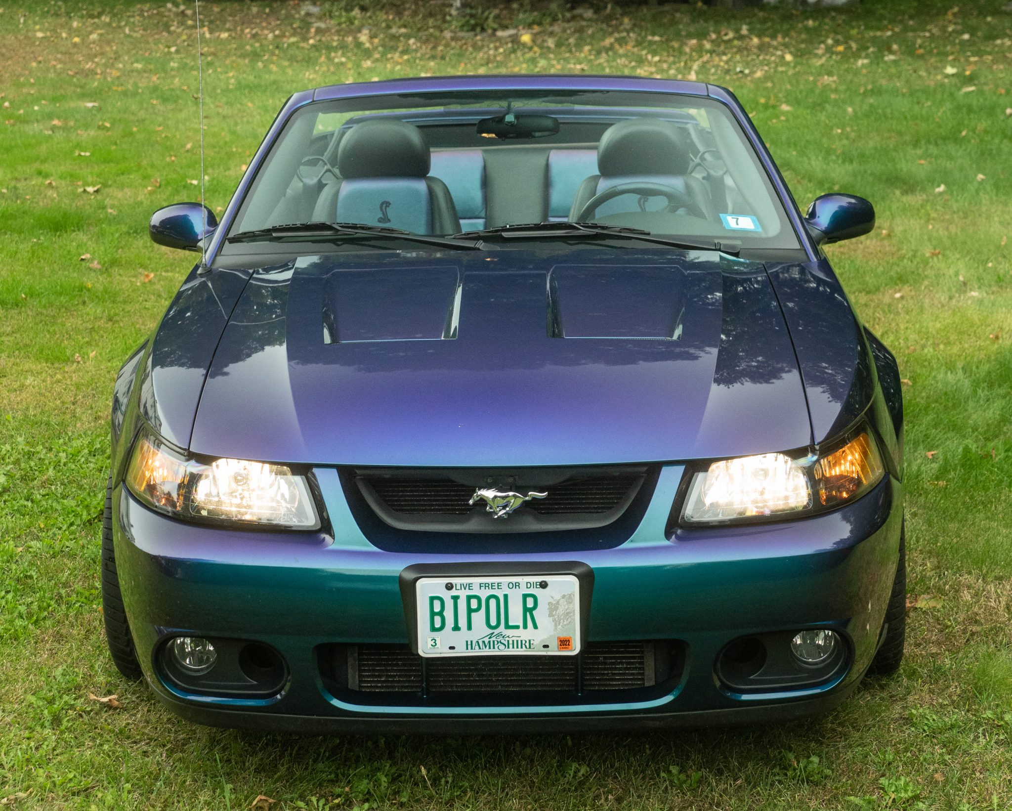 2004 Ford Mustang SVT Cobra Mystichrome Convertible – Sesame Cars