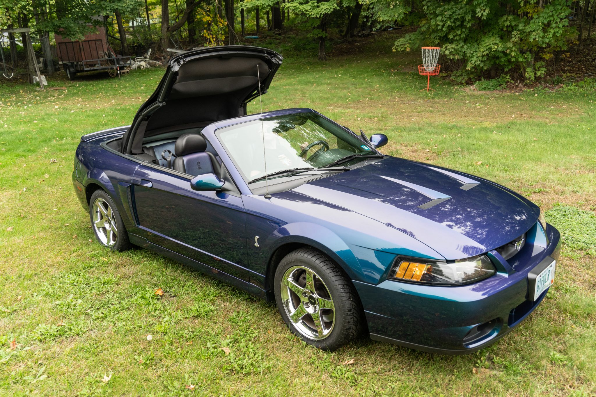 2004 Ford Mustang SVT Cobra Mystichrome Convertible – Sesame Cars