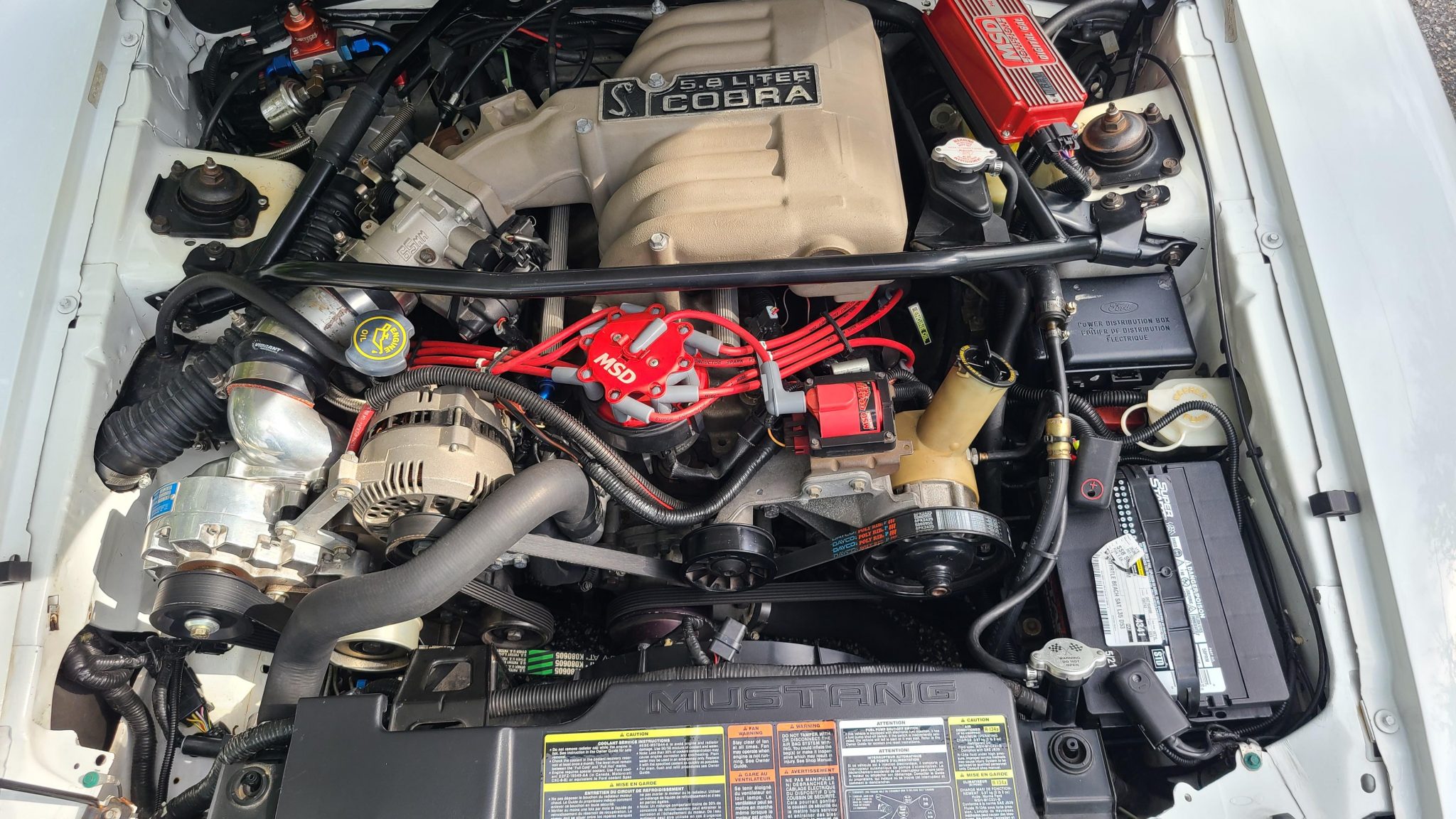 1995 Ford Mustang SVT Cobra R – Sesame Cars